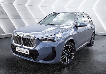 BMW iX1 xDrive30 M Sportpaket Head-Up DAB LED RFK