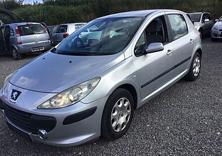 Peugeot 307 Grand Filou Cool