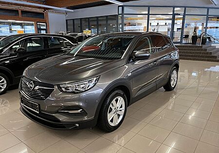Opel Grandland X Edition*AHK*Rückfahrkamera*