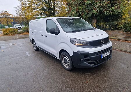 Opel Vivaro gebraucht kaufen Opel Vivaro Cargo L3 2.0D MT6, Allwetter