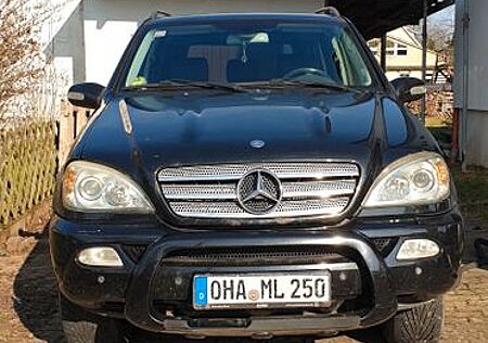 Mercedes-Benz ML 400 CDI Final Edition Final Edition