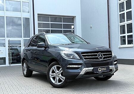 Mercedes-Benz ML 250 CDI *AHK*KAME*STANDH*DISTR+*