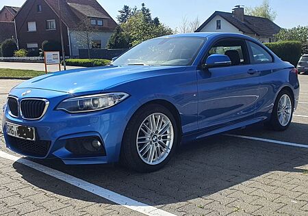 BMW 218d Coupé M Sport Automatik / Voll Leder / Navi