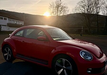 VW Beetle Volkswagen