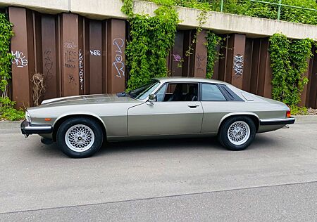 Jaguar XJS V12 / Perfekt und mit frischem Service !!!!!