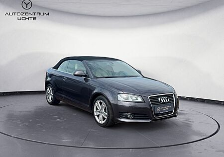 Audi A3 Cabriolet Ambition/LEDER/NAVI/BOSE/XENON/