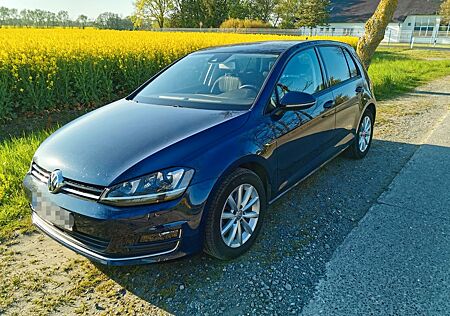 VW Golf Volkswagen 1.6 TDI 4MOTION Zweitwagen Vollausstattung