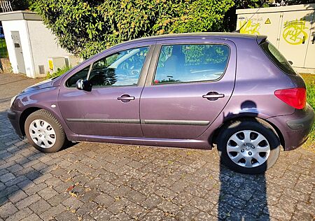 Peugeot 307 Tendance 110, LPG, TÜV 8/26, guter Zustan