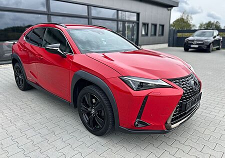 Lexus UX gebraucht kaufen Lexus UX 250h Style & Edition - ACC-Totwinkel-DAB