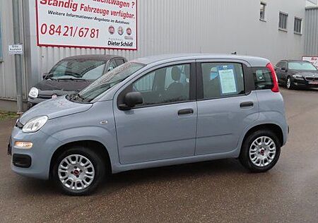 Fiat Panda Easy 1,2 69* PS +Allwetter+Parksensoren