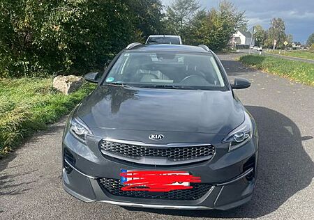 Kia XCeed gebraucht kaufen Kia XCeed 1.6 CRDi DCT Spirit Spirit