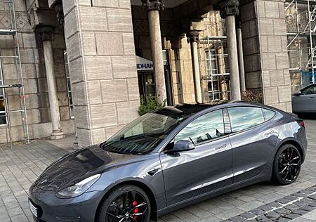 Tesla Model 3 Performance Erweiterter AP 8fach Reifen