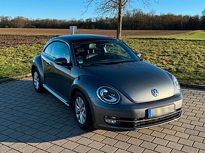 Volkswagen The Beetle