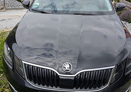 Skoda Octavia 2.0 TDI Combi ACC DSG Klima SHZ NAVI
