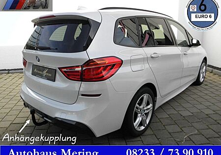 BMW 2er 218iA MAero+Sportp Reling Privacy AHK