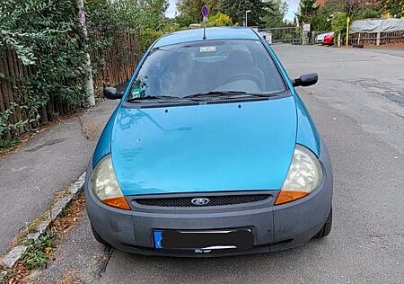 Ford Ka gebraucht kaufen Ford Ka /+ 1.3 Edition K2 Snow K2 snow