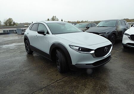 Mazda CX-30 2.5l 140PS Homura