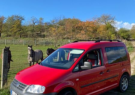 VW Caddy Volkswagen Life 2.0 TDI 103kW 7-Sitzer -