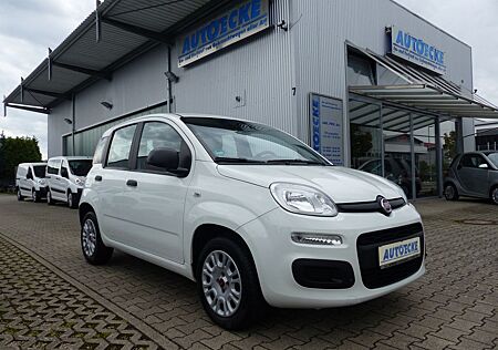 Fiat Panda gebraucht kaufen Fiat Panda Easy 1.2 KLIMA/1.Hand/Servo/Bluetooth
