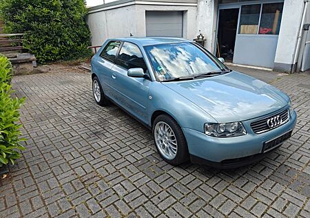 Audi A3 8L 1.8T Klima, AHK, DAB, TÜV neu