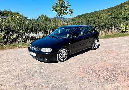 Audi A3 Gepflegter 1.8T