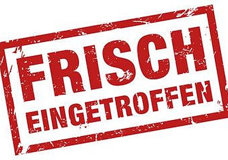 Ford Focus Turnier , Navigation