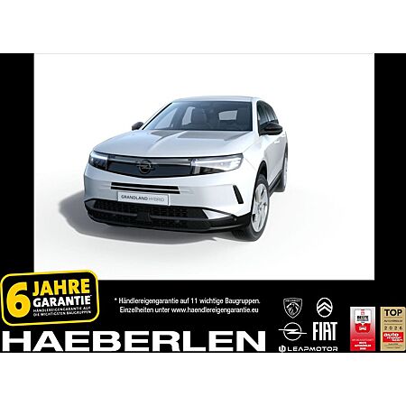 Opel Grandland X leasen