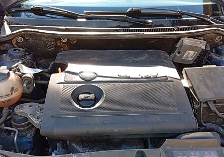 Seat Ibiza 1.4 16V 55 kW Stella Stella