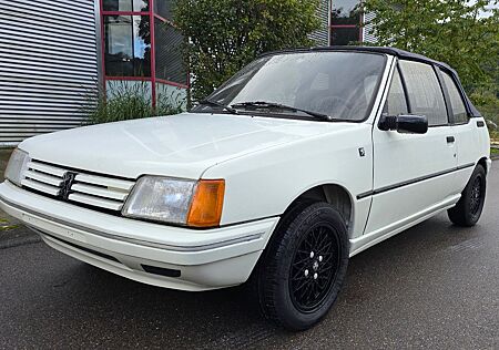 Peugeot 205 CABRIO Winter Preis