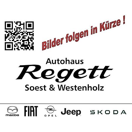 Fiat 600 leasen