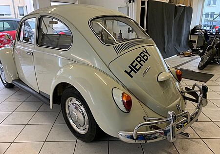 VW Käfer Volkswagen