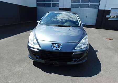 Peugeot 307 Grand Filou Cool
