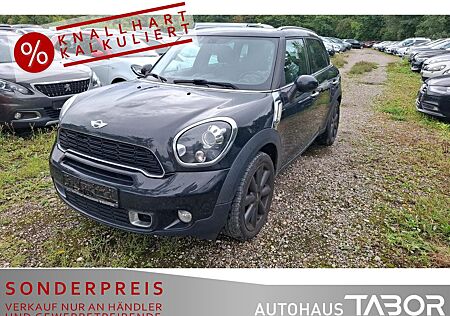 Mini Cooper S Countryman Chili Xenon PDC SHZ GRA