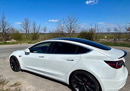 Tesla Model 3 Perfomance