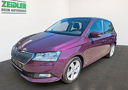 Skoda Fabia 1.0 TSI Cool Plus LM Klima PDC SHZ