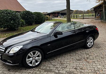 Mercedes-Benz E 250 Cabriolet CDI BlueEFF. ELEGANCE ...