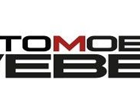 Skoda Fabia III 1.2 TSI STYLE *COMFORT-PAKET*17"LM-FLG