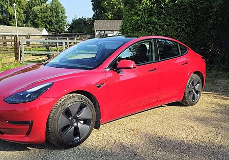 Tesla Model 3 Long Range inkl. Winterräder