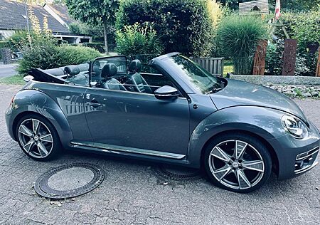 VW New Beetle Volkswagen