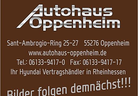 Hyundai Santa Fe Premium 4WD*Pano*Park*Assist*Sitz*AHK*