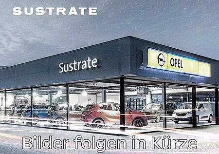 Opel Corsa F e Elegance 11KW 3-Phasig, 180° RFK