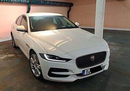 Jaguar XE 250PS ACC 360° Kamera Leder CarPlay TÜV 2027