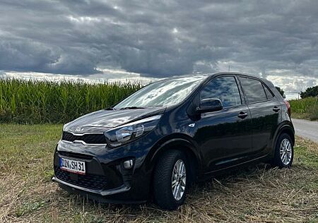 Kia Picanto 1.2 Vision Vision