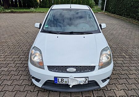 Ford Fiesta 1,3 51 kW White Magic White Magic