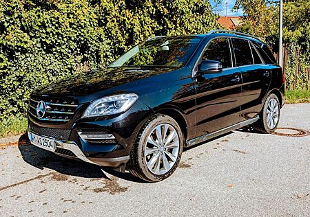 Mercedes-Benz ML 350 BlueTEC 4MATIC - zusätzlicher Kühler