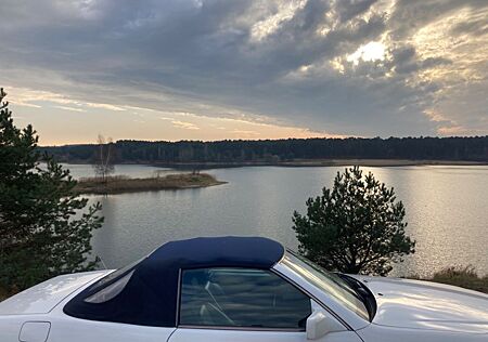 Mercedes-Benz SL 600 SL