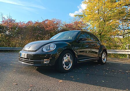 VW Beetle Volkswagen 1.2 TSI CUP Sitzheizung Tempomat