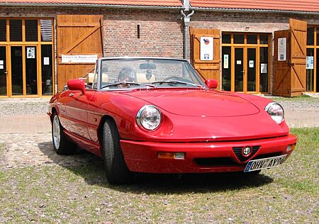 Alfa Romeo Spider gebraucht kaufen Alfa Romeo Spider