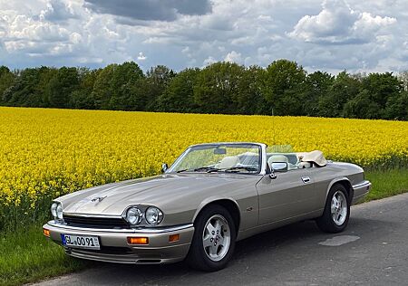 Jaguar XJS im TOP-Zustand, H-Kennzeichen, 2+, Tüv neu