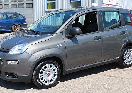 Fiat Panda Mildhybrid 1,0 70 PS Graumet.